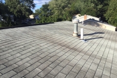 before-pic-2